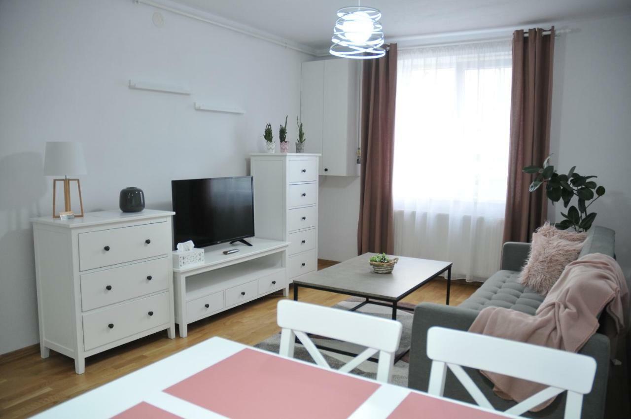 Ana Cristina Apartament Sighişoara Eksteriør bilde